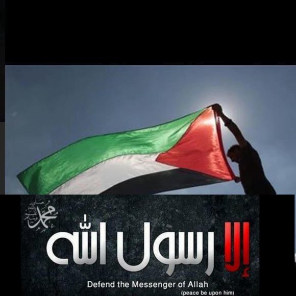 sahar95hennawi